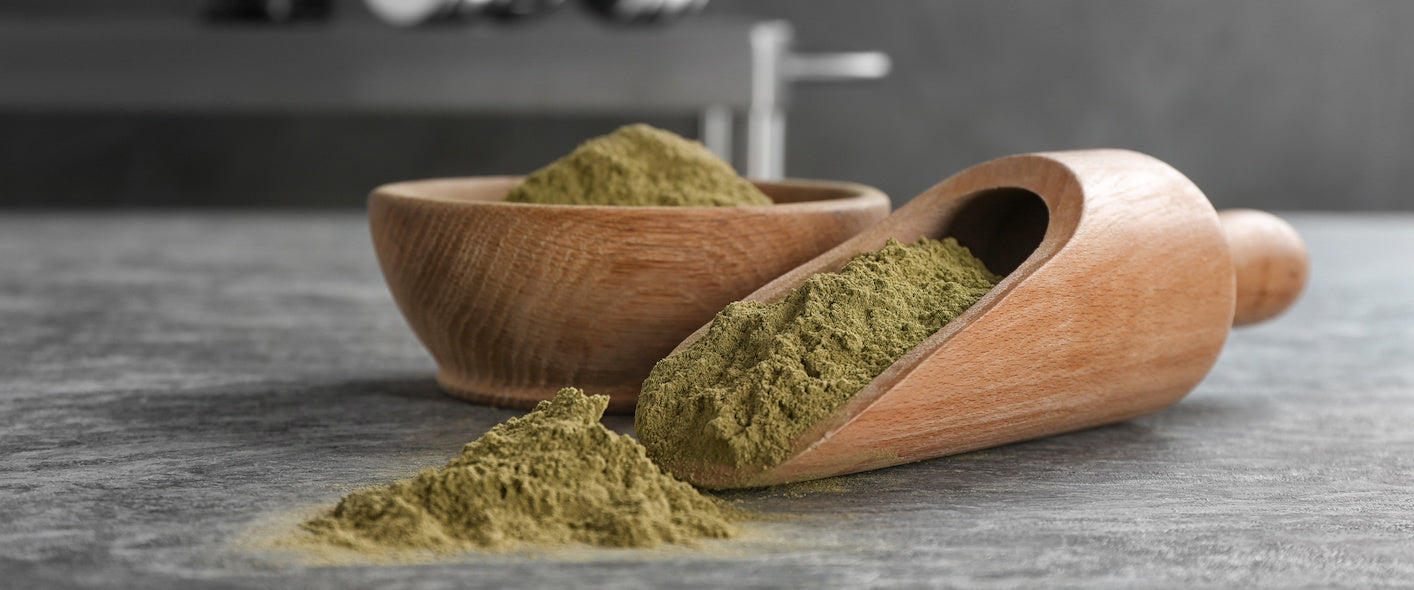 Vegan Protein Powders | Dairy Free | Plant Based | Gluten Free & Soy Free