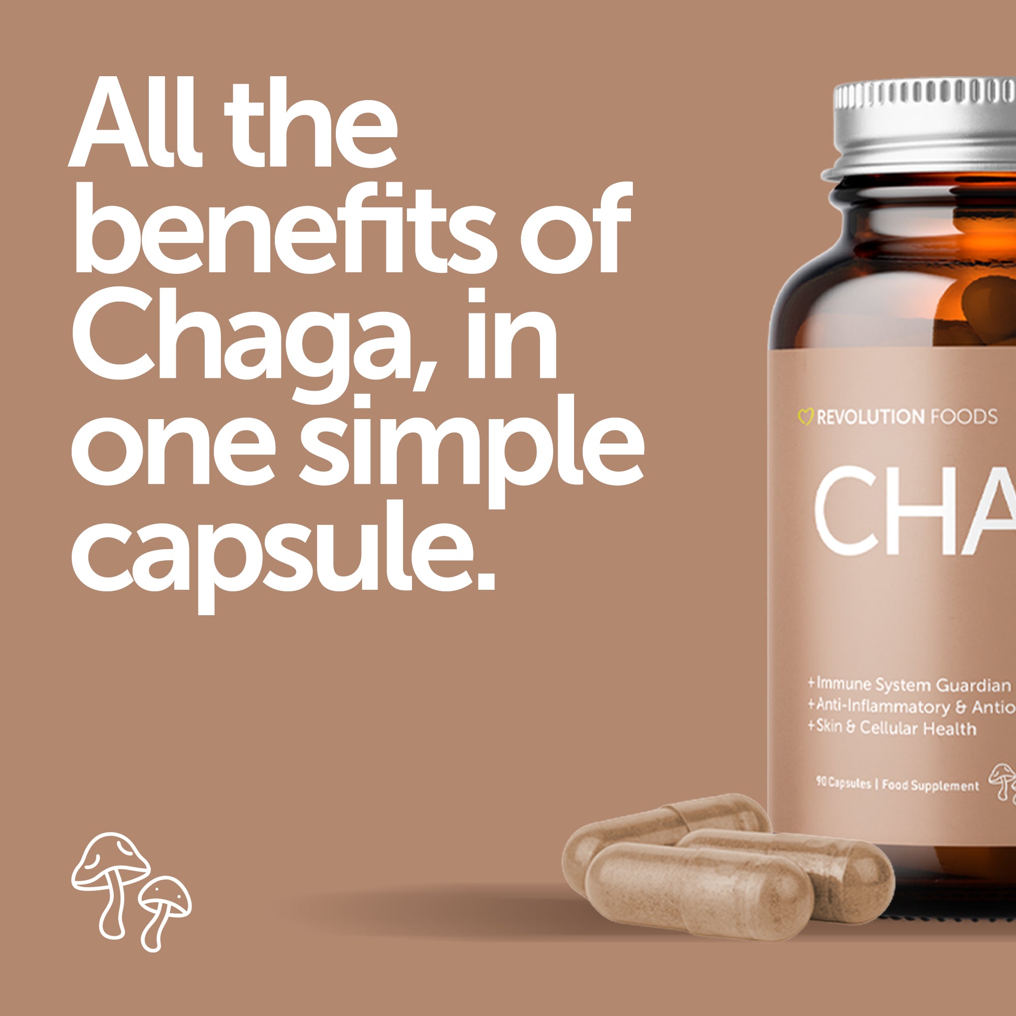Chaga