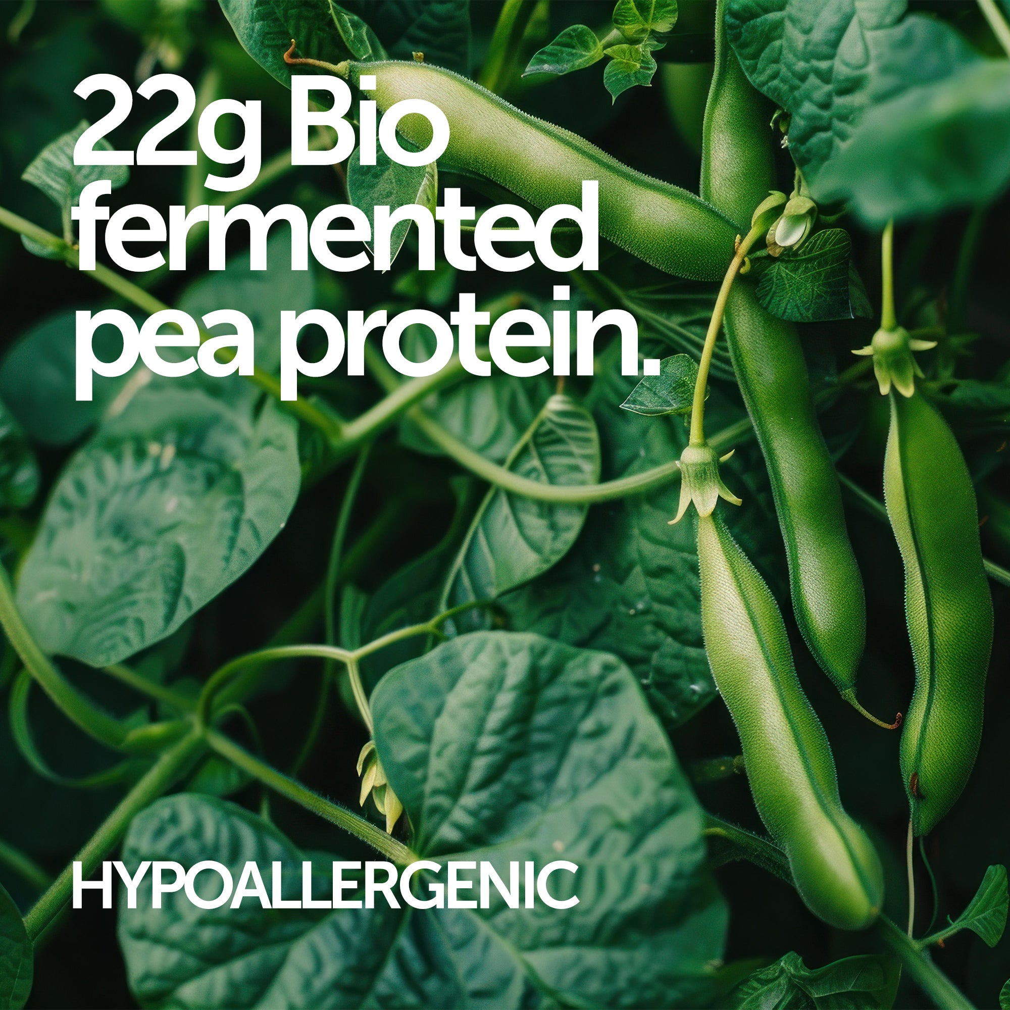 Superblend Protein Powder
