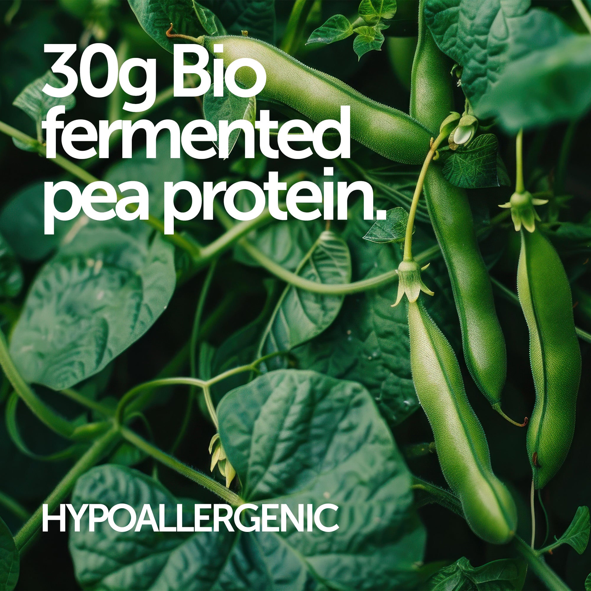 Ultimate Vegan Meal Replacement