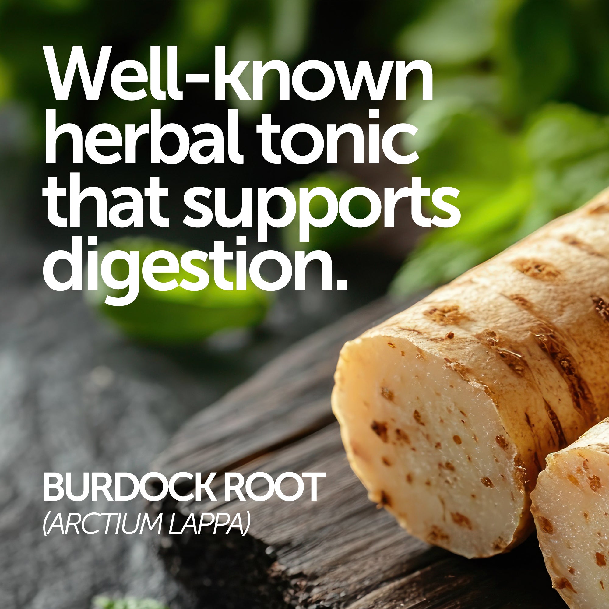 Herbal Cleanse | Liver Kidney Blood