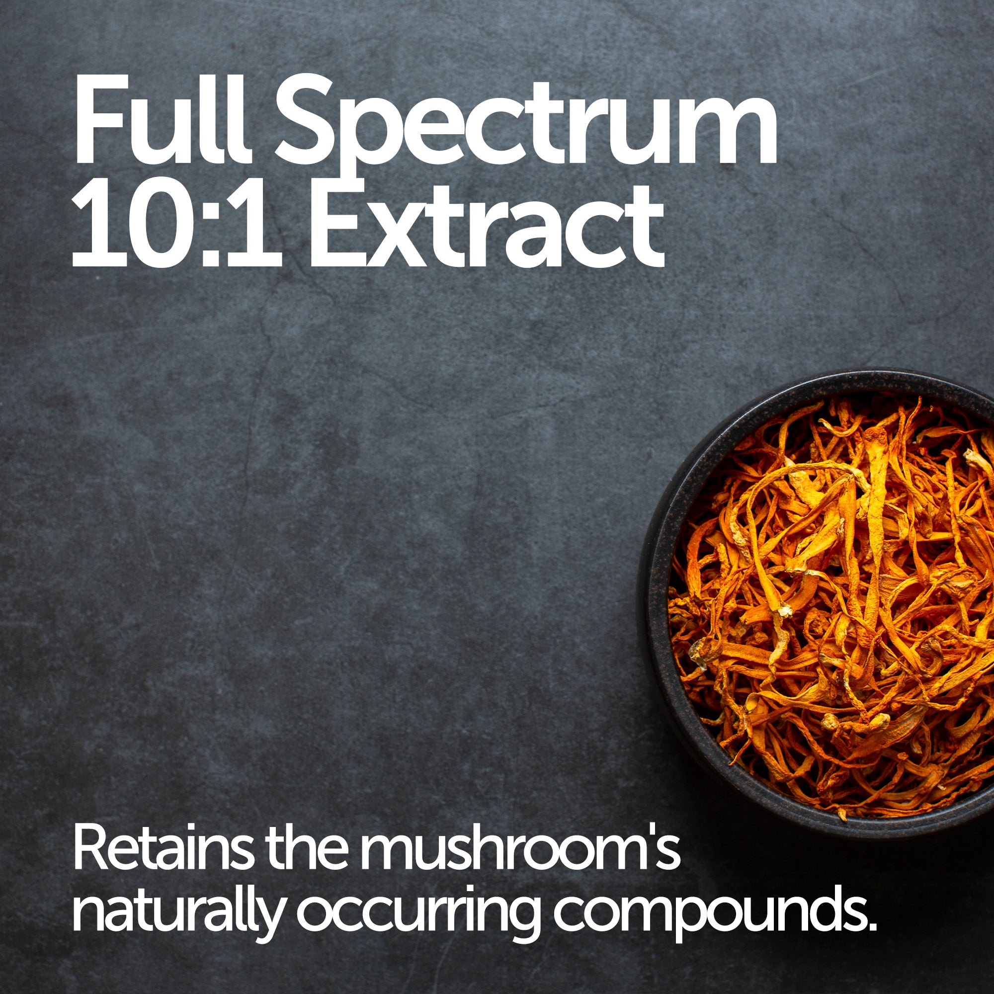 Cordyceps