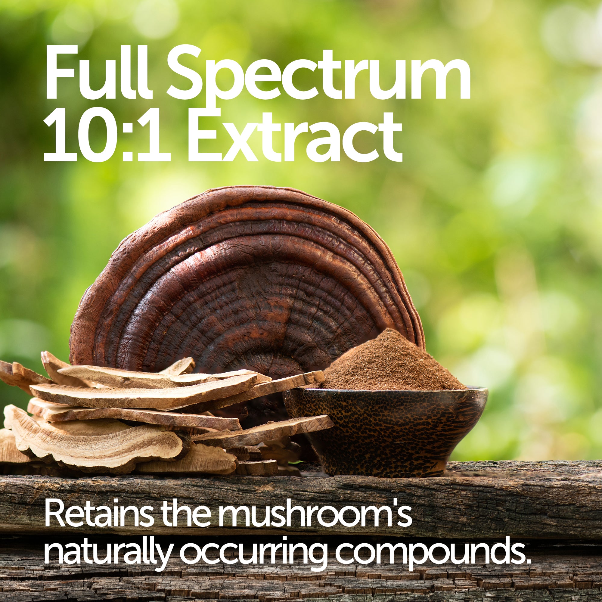 Reishi