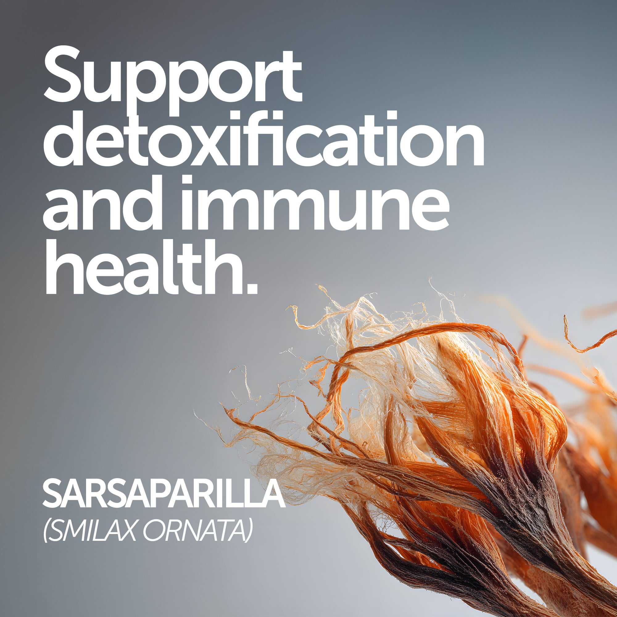 Herbal Cleanse | Liver Kidney Blood