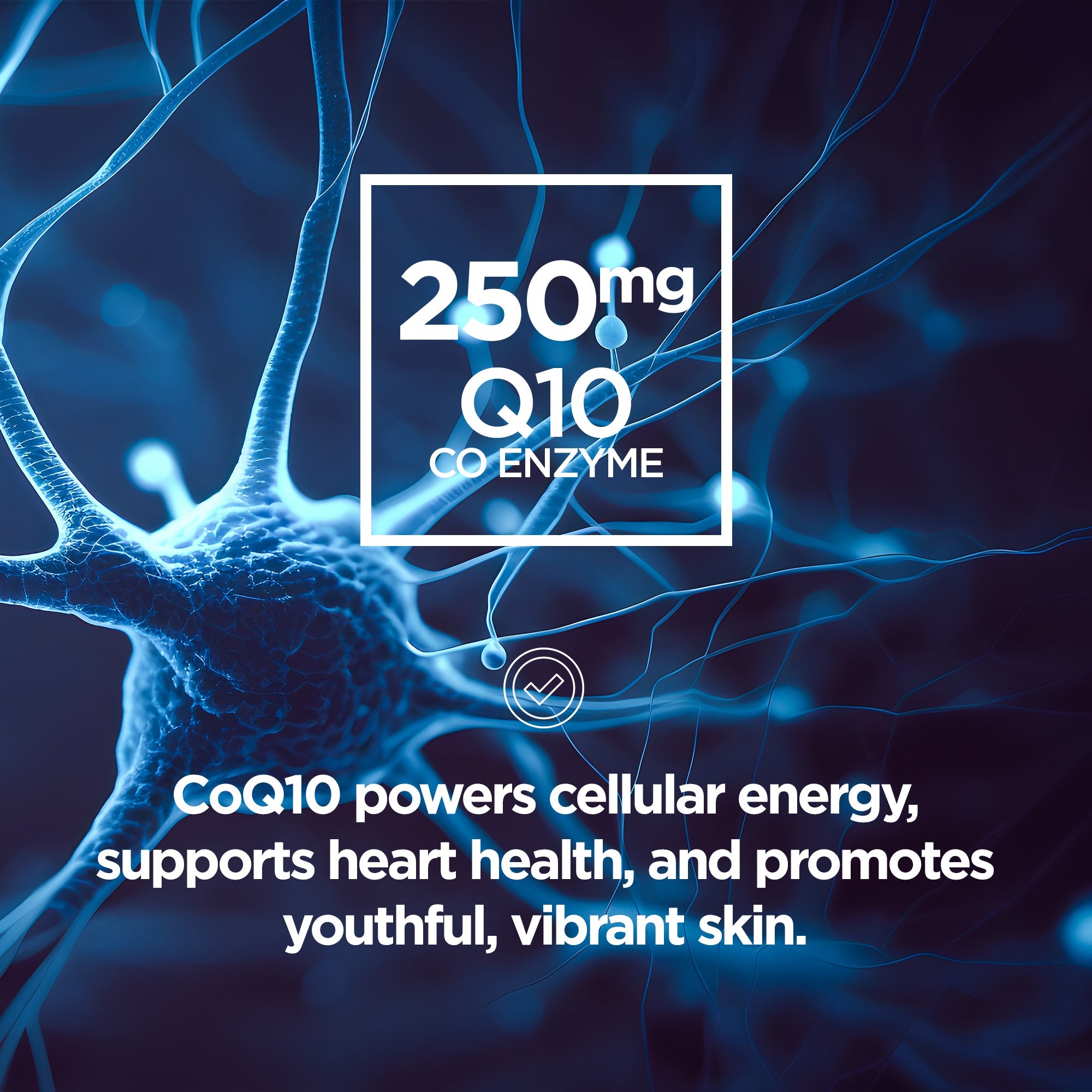 Womens Pro Multi Vitamin