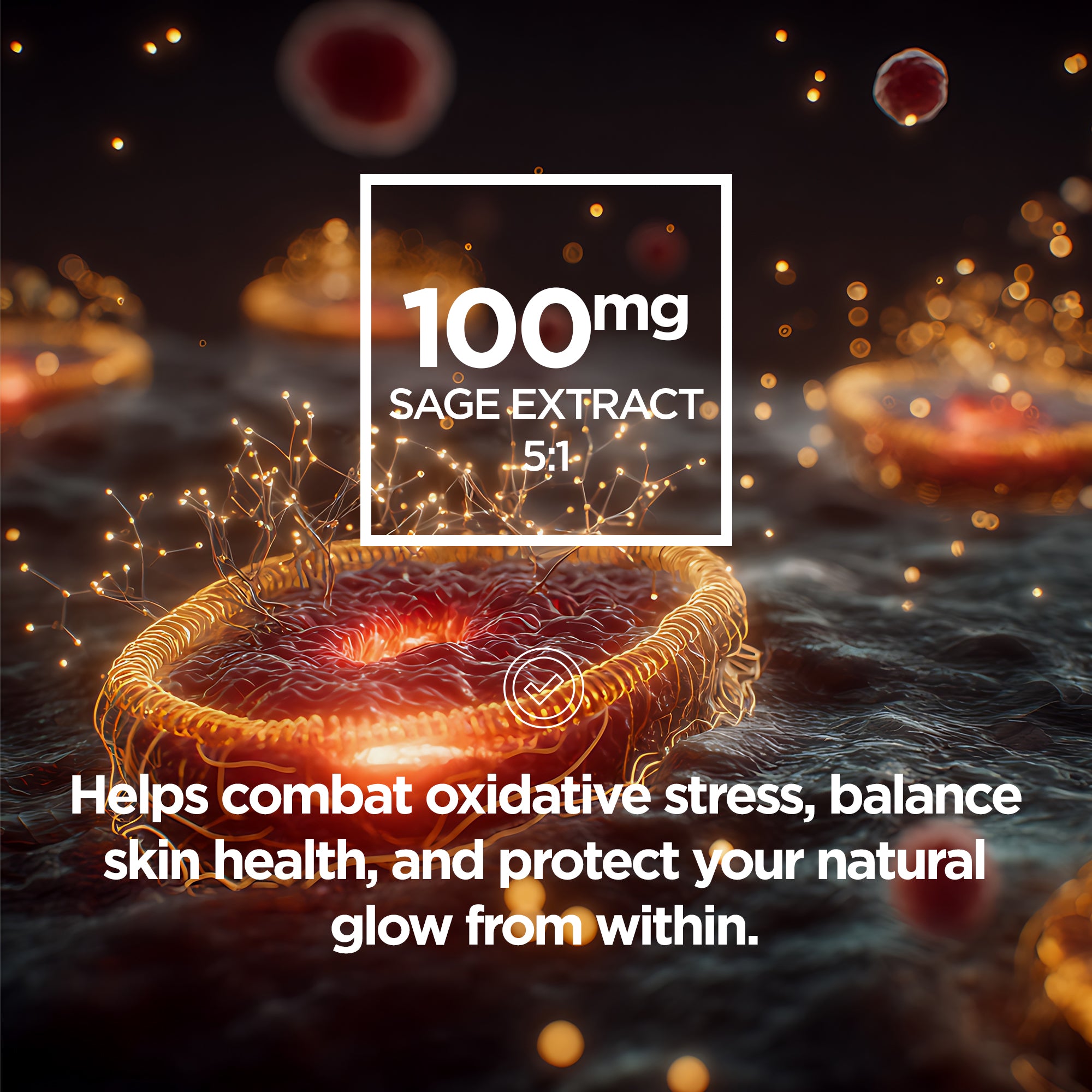 Hair Skin Nails | HSN+