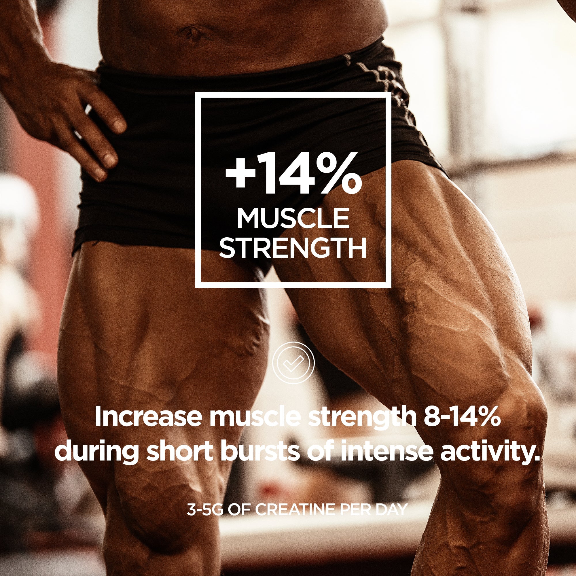 Pure Creatine Pro | Informed Sport