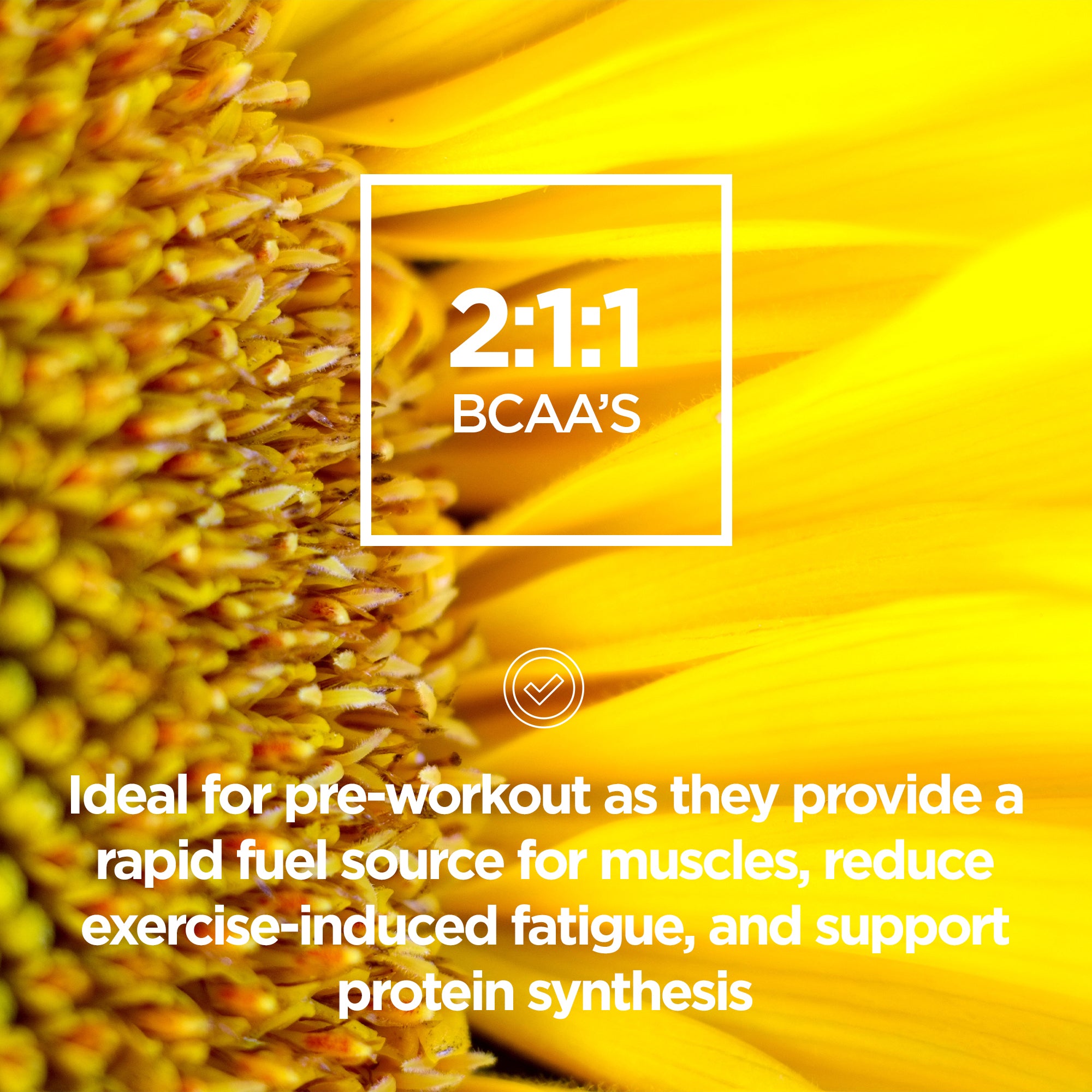 Pre Workout Energize Coffee 240g