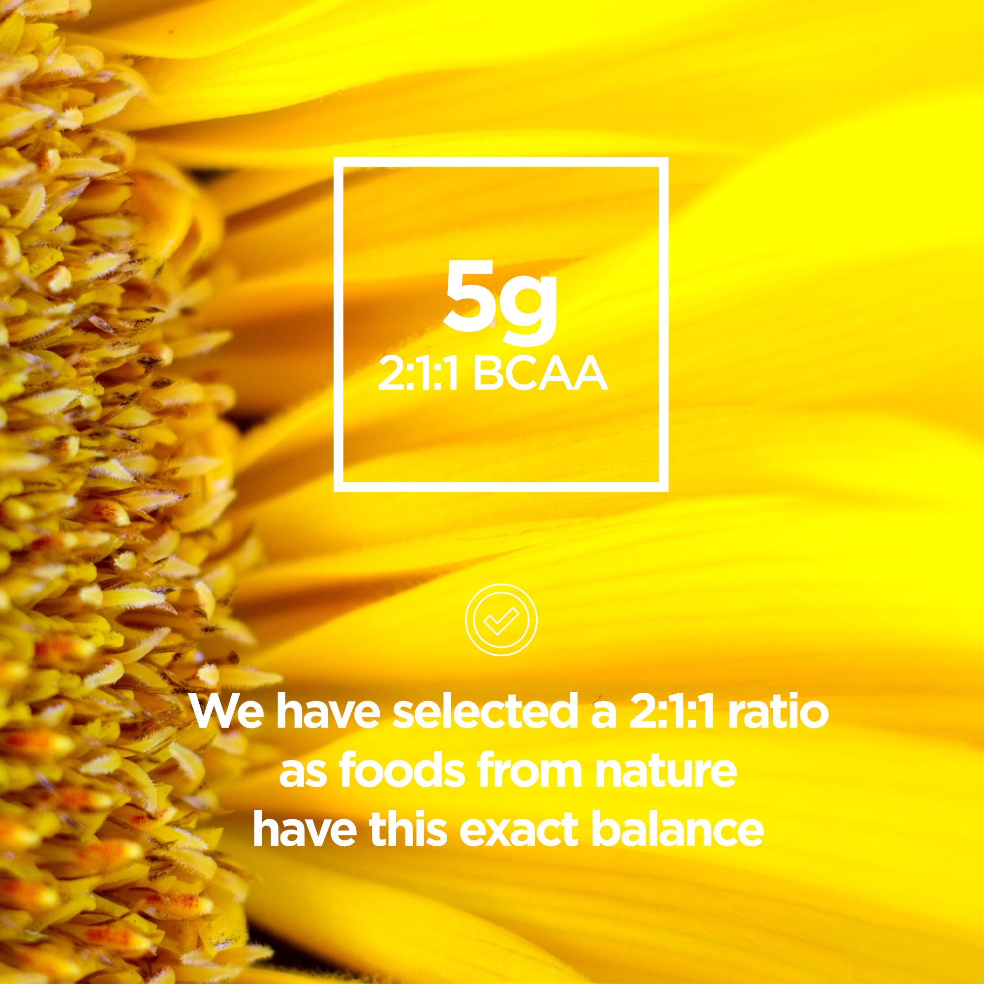 Maintain BCAA Powder