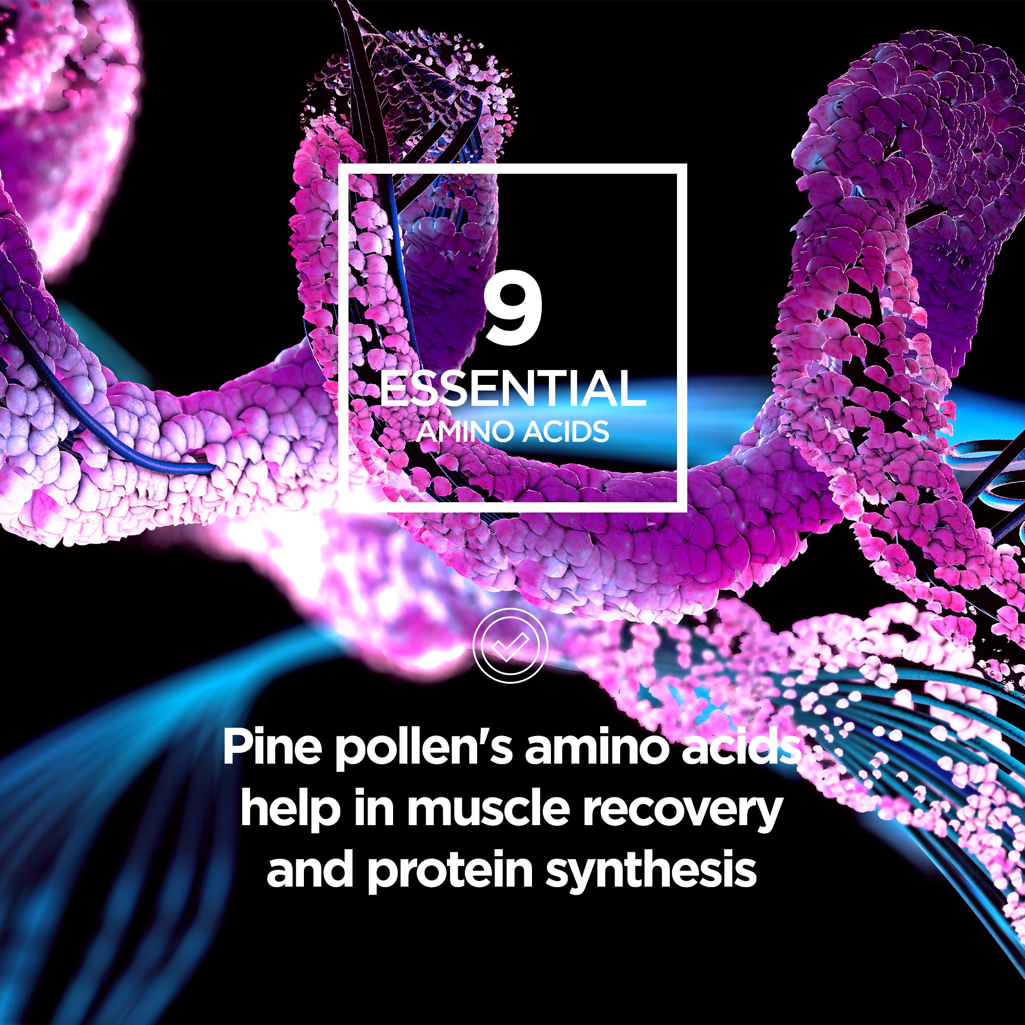 Pine pollen 150g Premium Powder - Revolution Foods (pioneers in plant nutrition)