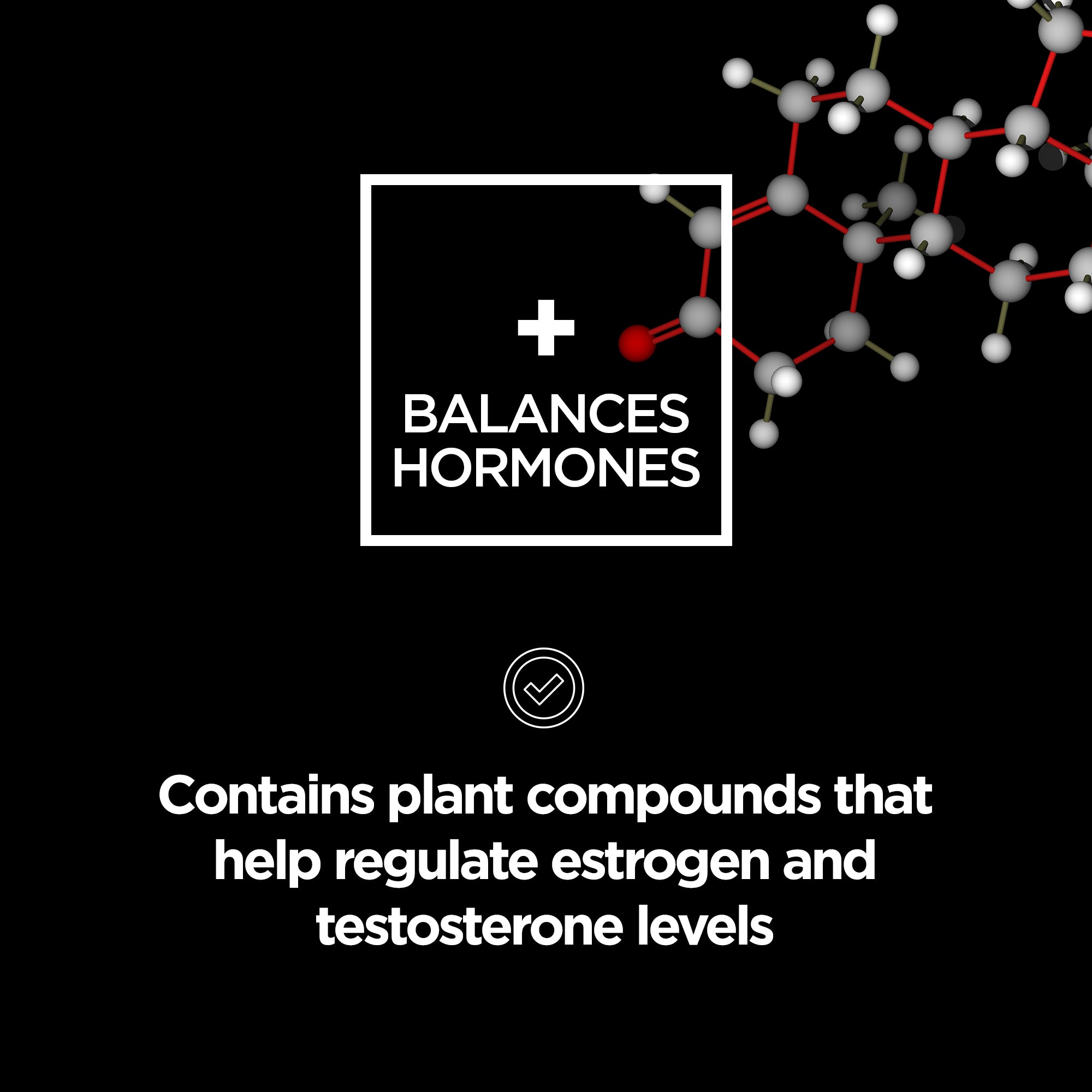 Gelatinised Maca Powder 250g organic - Revolution Foods (pioneers in plant nutrition)