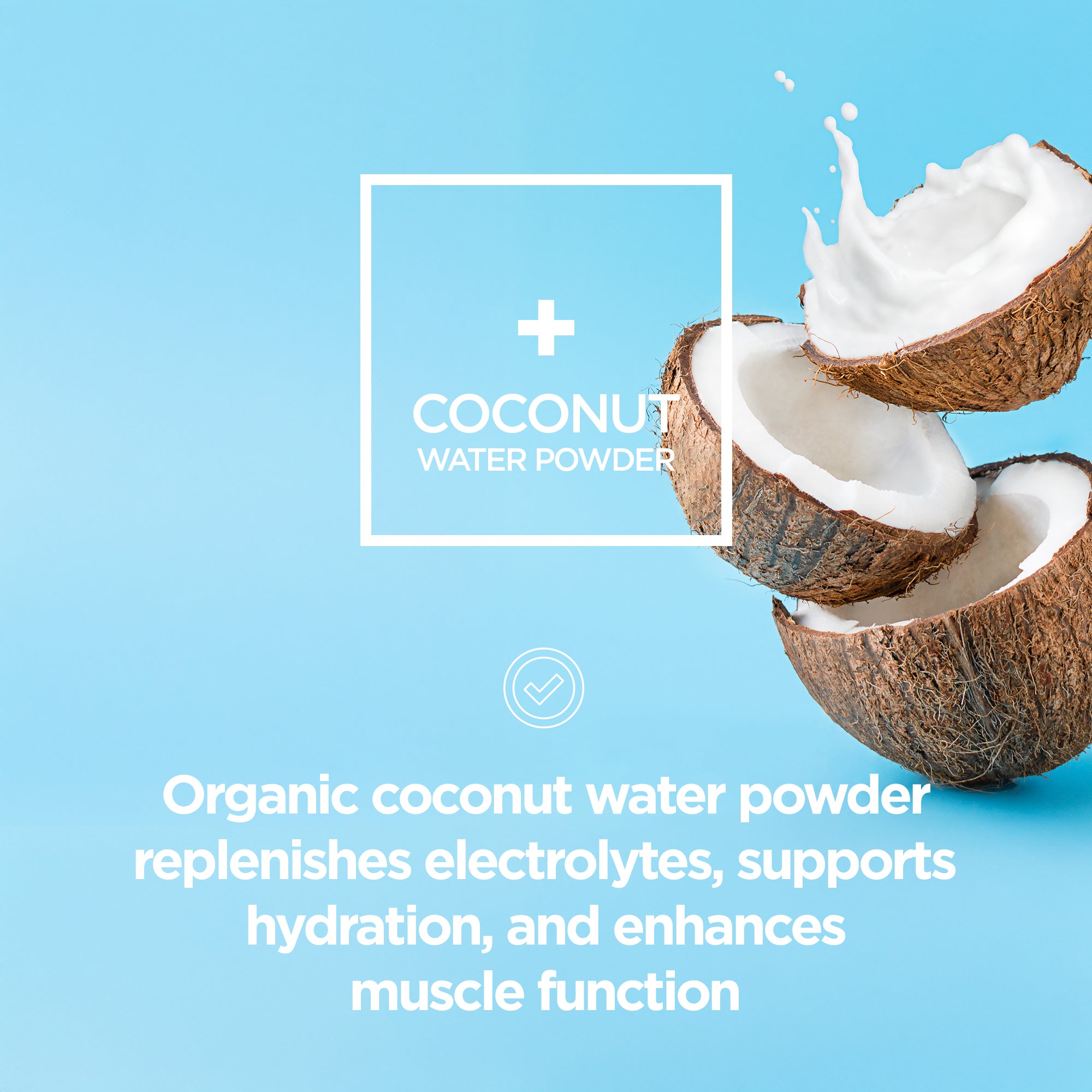 Pre Workout Energize Coffee 240g