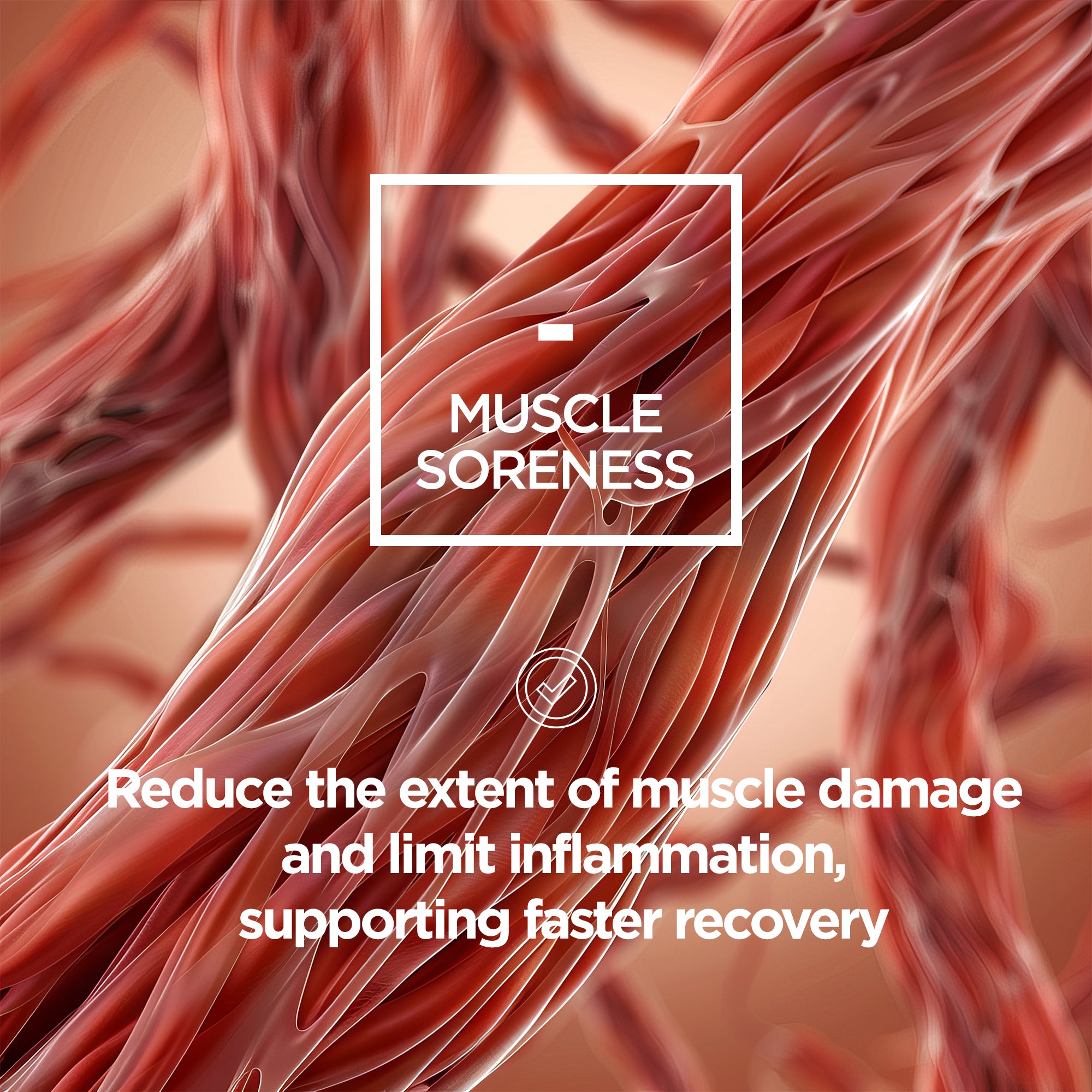 Maintain BCAA Powder