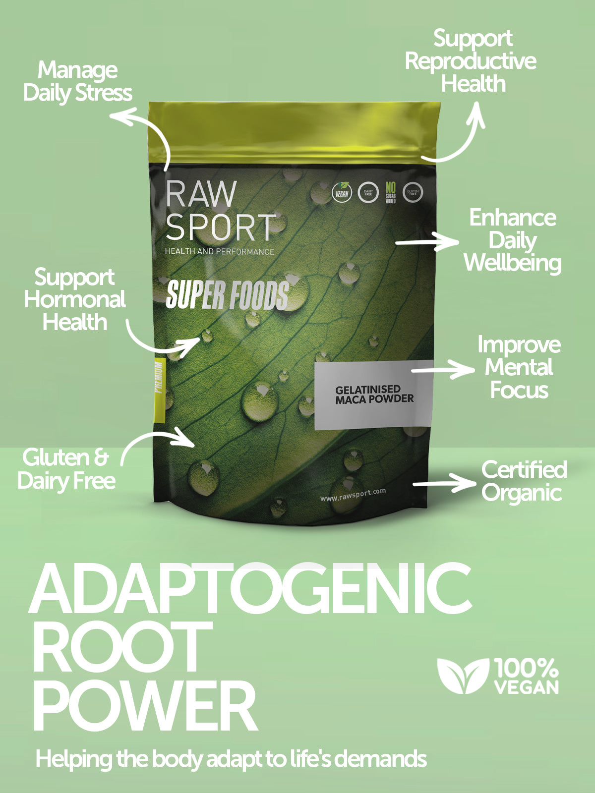 Gelatinised Maca Powder 250g organic