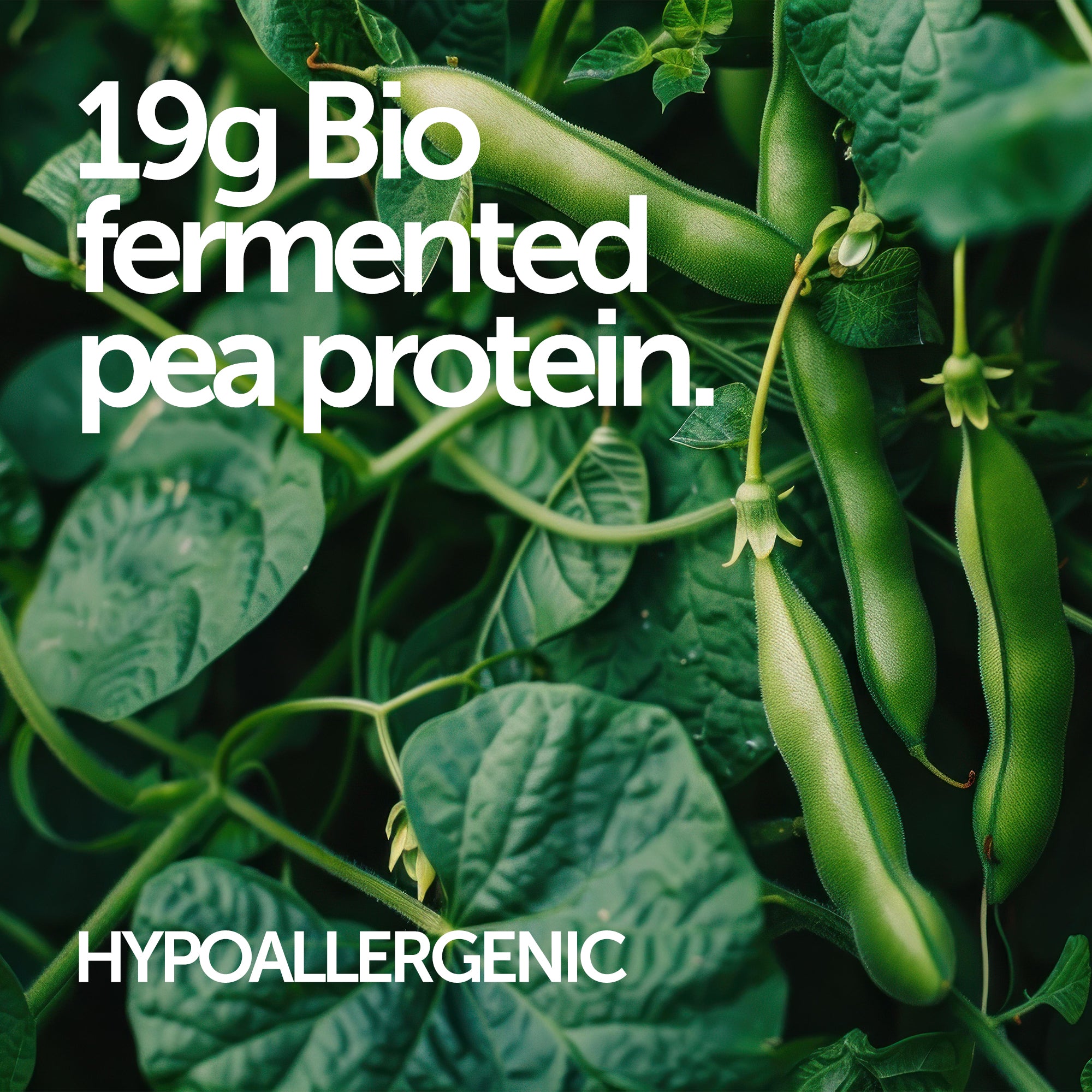 Collagen Peptide Protein Powder - Revolution Foods (pioneers in plant nutrition)