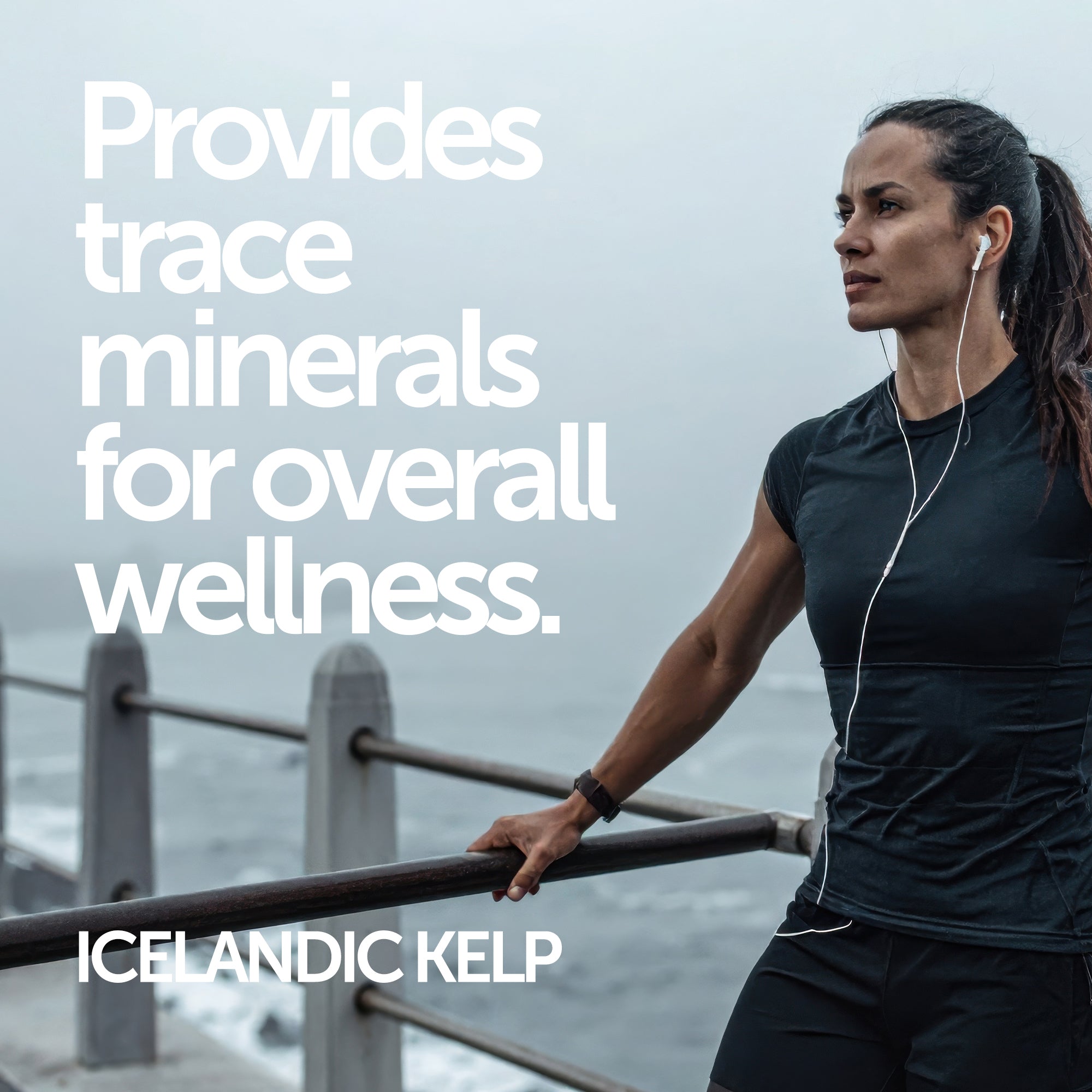 Womens Pro Multi Vitamin - Revolution Foods (pioneers in plant nutrition)