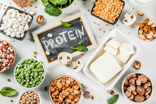  Sources of plant based protein