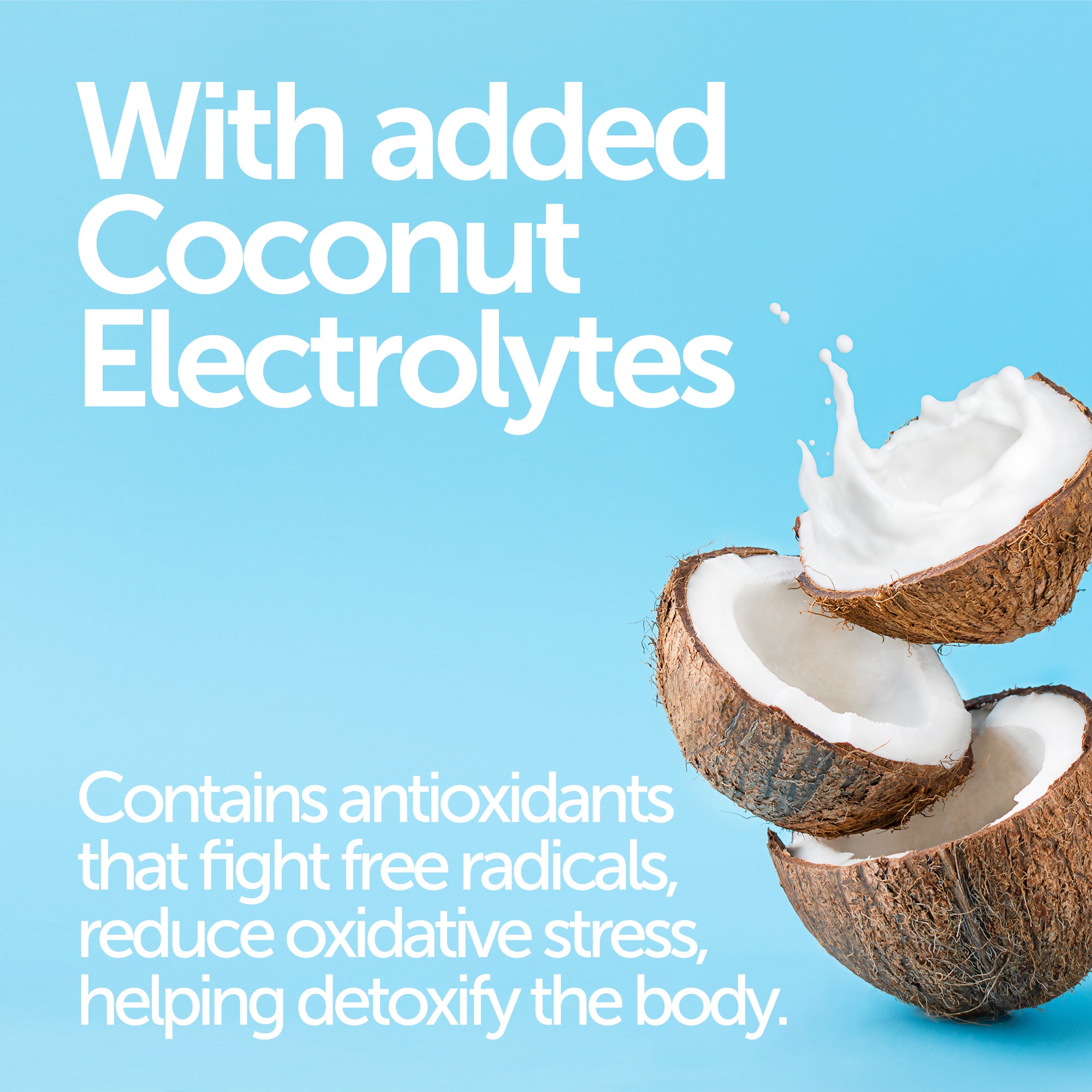 Premium Blend Protein Powder