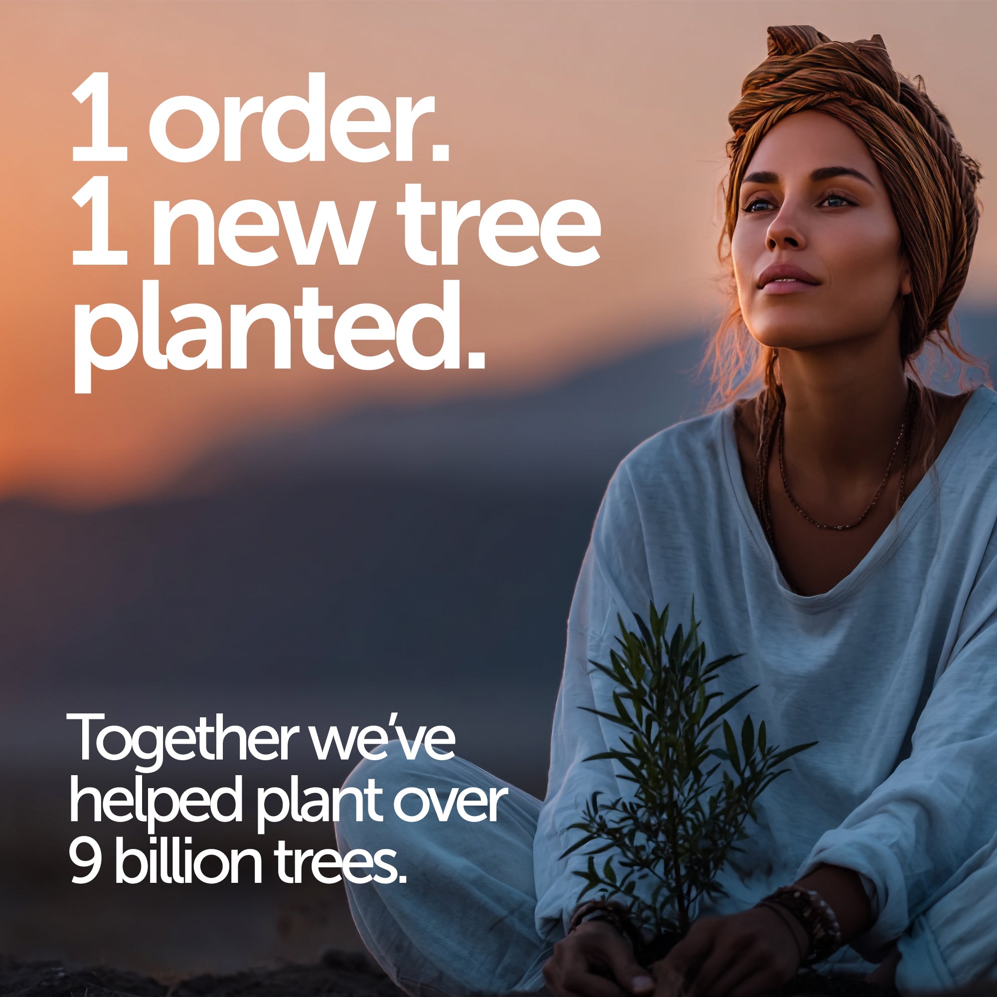 Superblend Protein Powder - Revolution Foods (pioneers in plant nutrition)