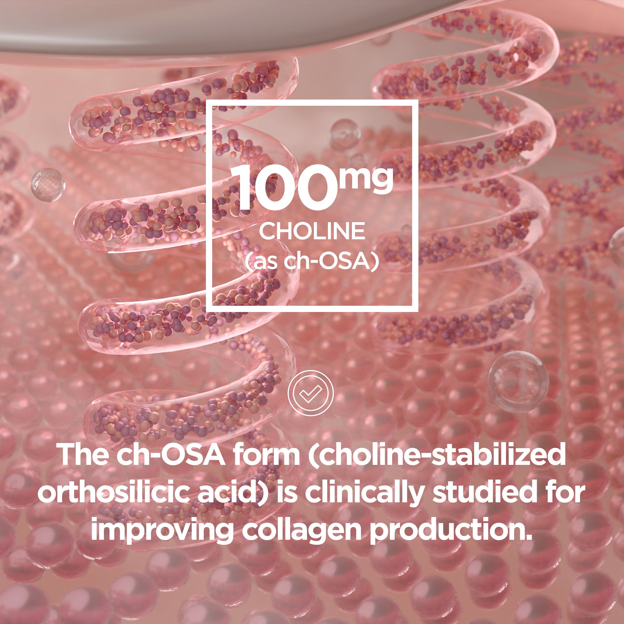 Hair Skin Nails | HSN+