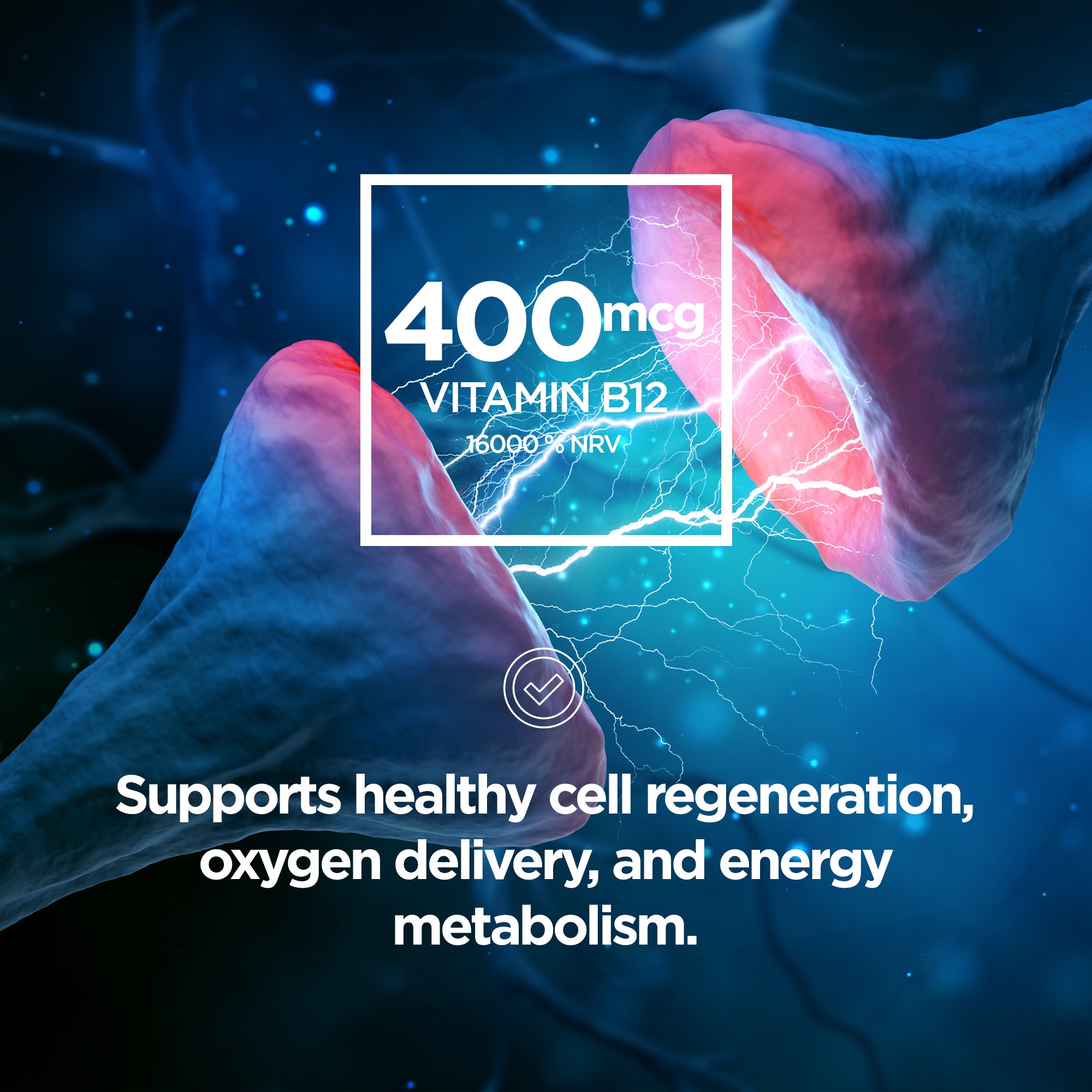 Hair Skin Nails | HSN+