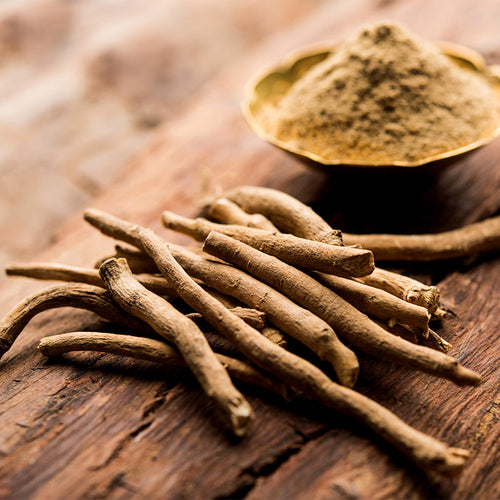 UK gid://shopify/MediaImage/67320558715267