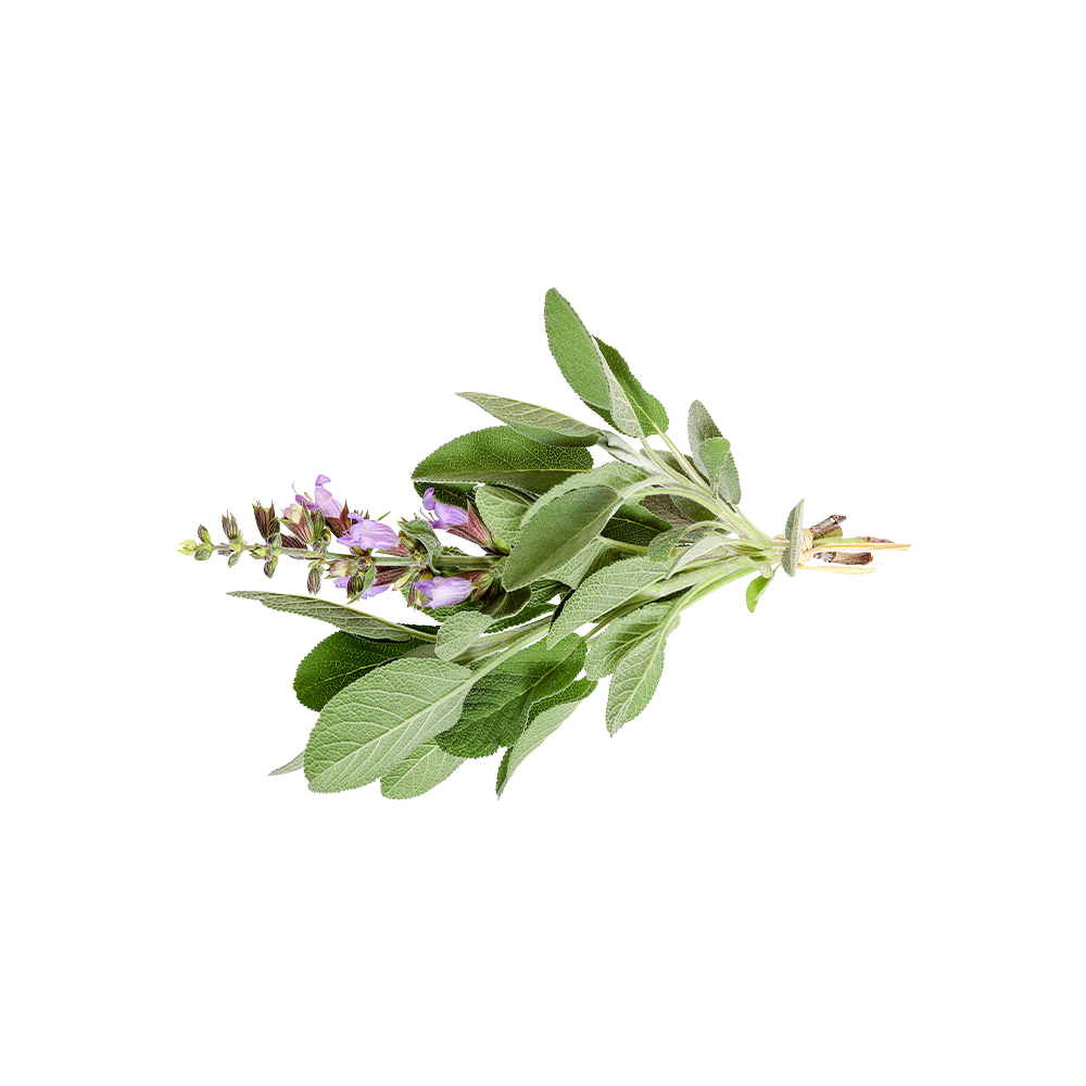 UK gid://shopify/MediaImage/67320540266883