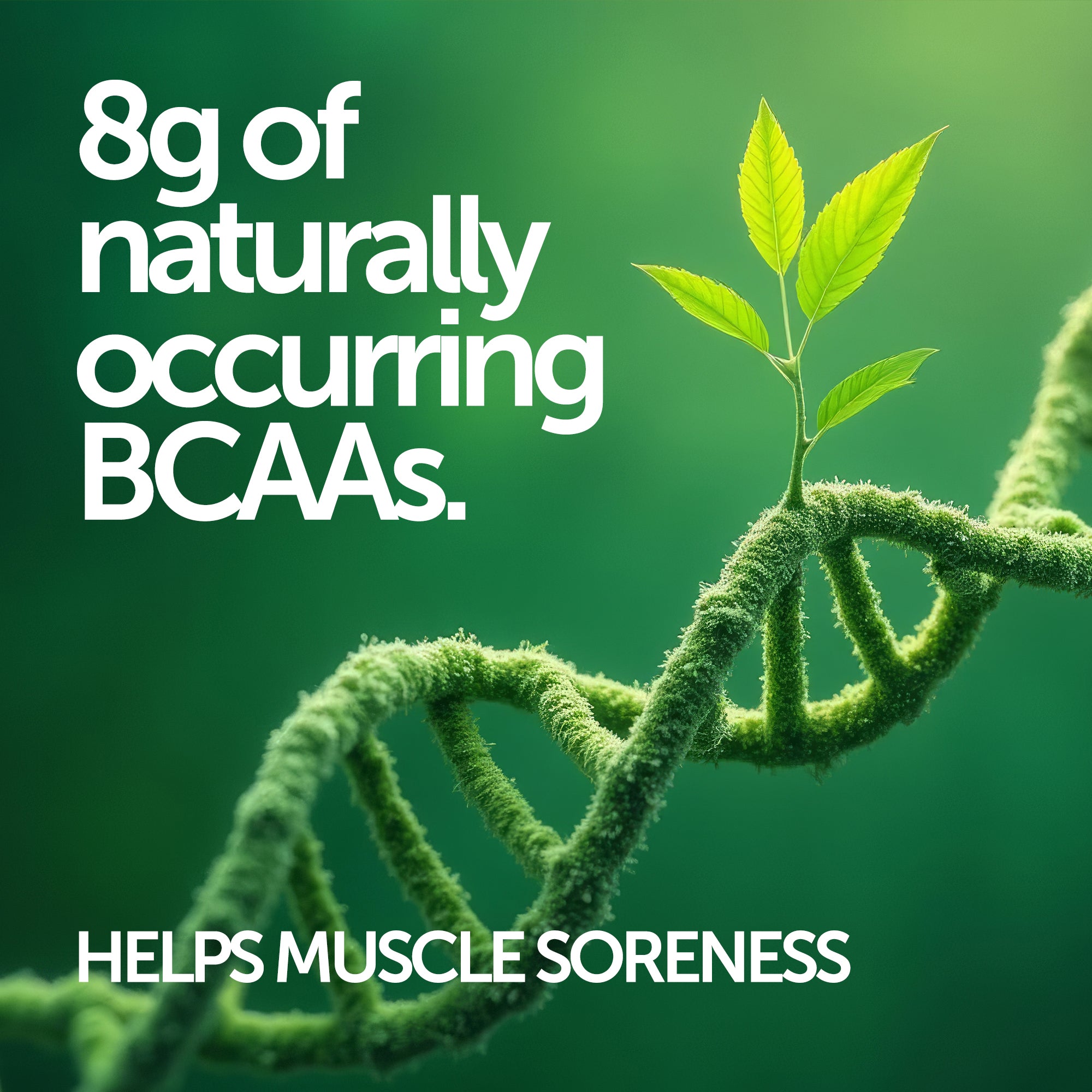 Collagen Peptide Protein Powder - Revolution Foods (pioneers in plant nutrition)