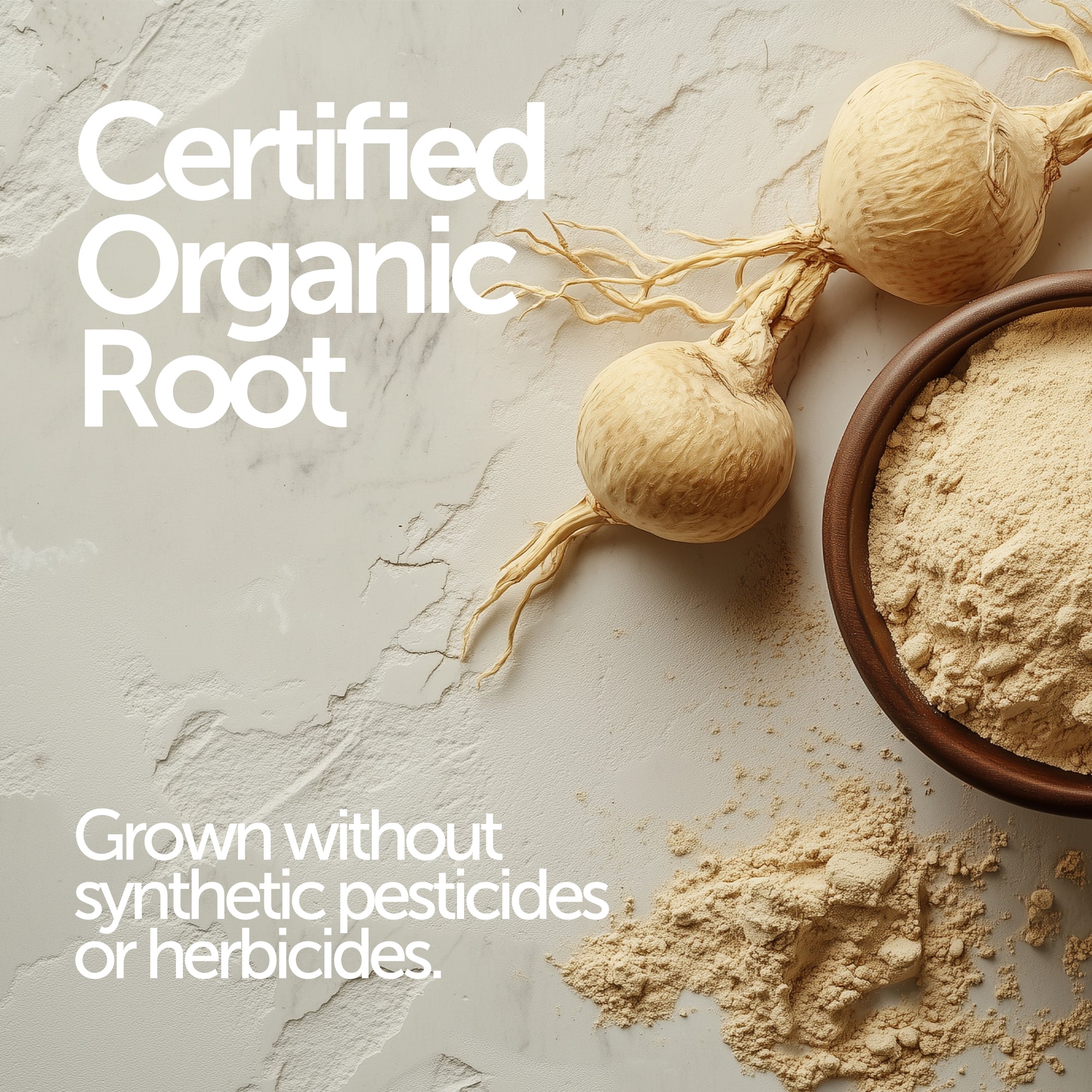 Gelatinised Maca Powder 250g organic