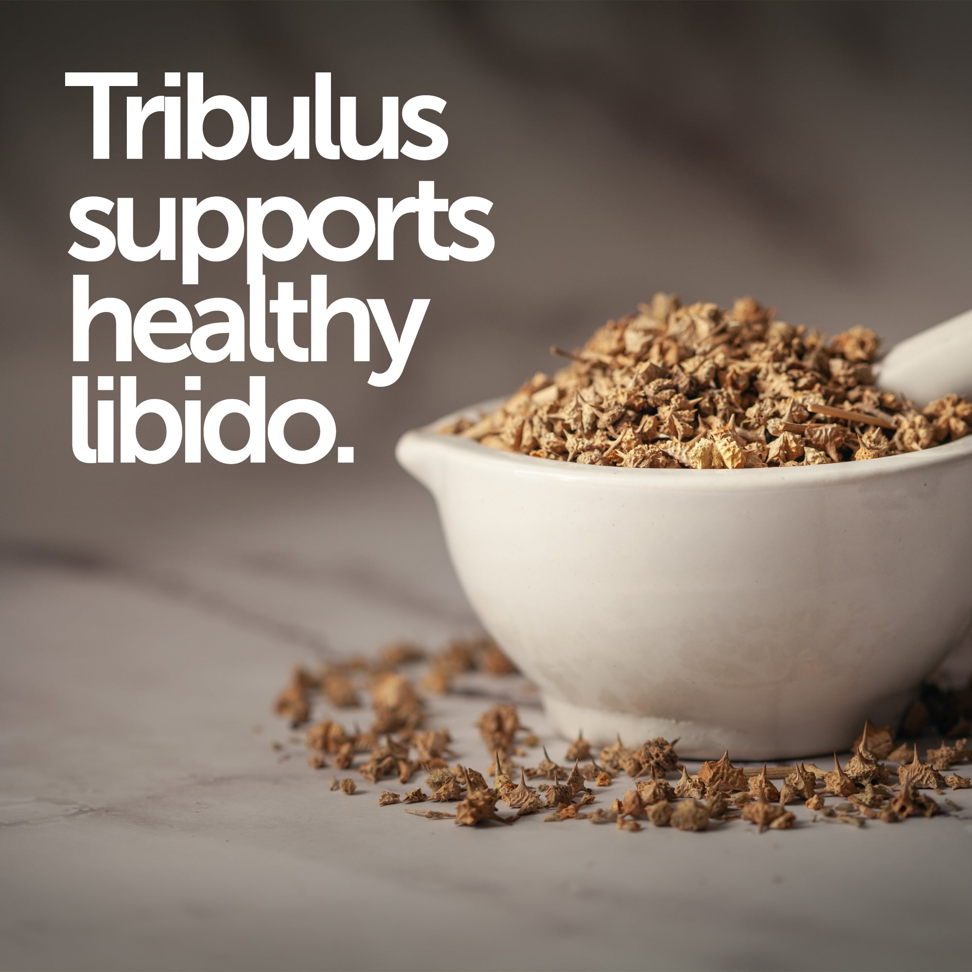 Testo Pro - Revolution Foods (pioneers in plant nutrition)