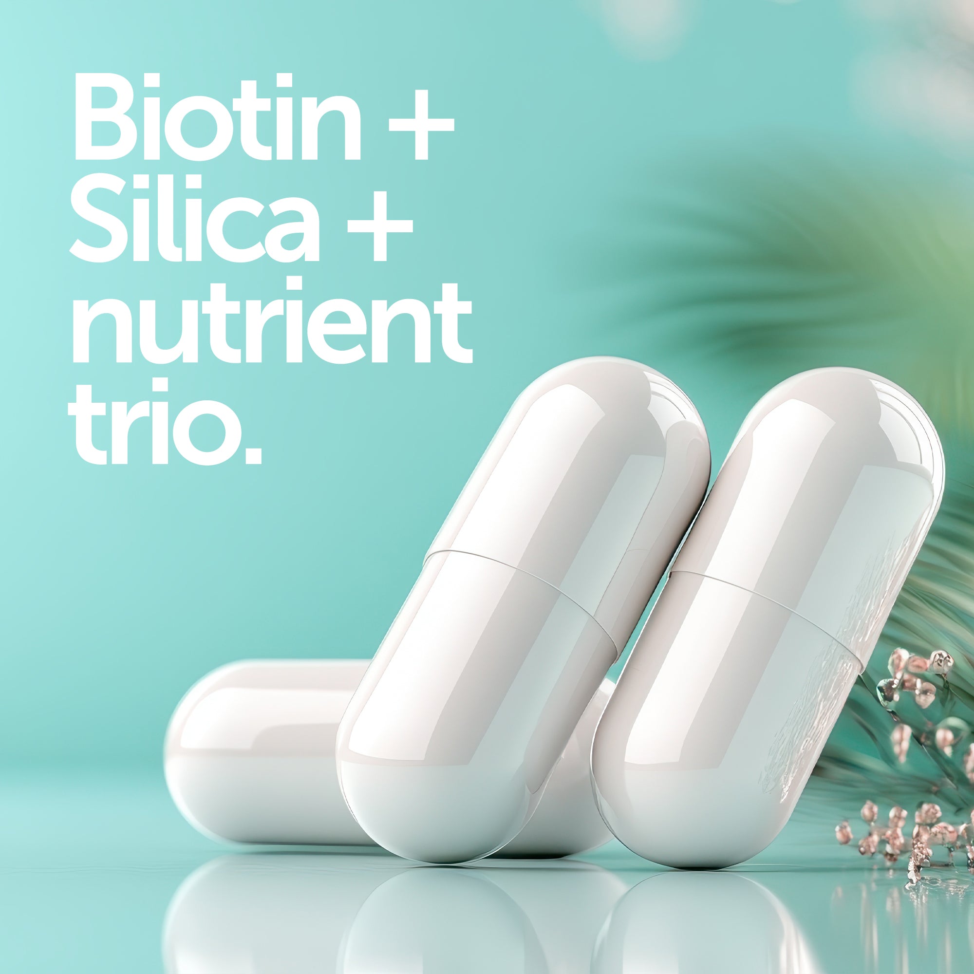 Hair Skin Nails | HSN+ - Revolution Foods (pioneers in plant nutrition)