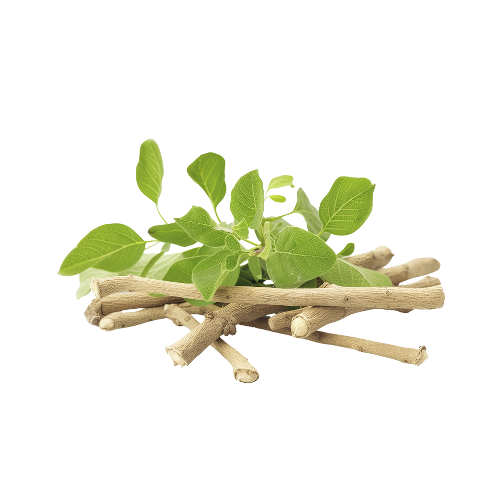 UK gid://shopify/MediaImage/67725262520707