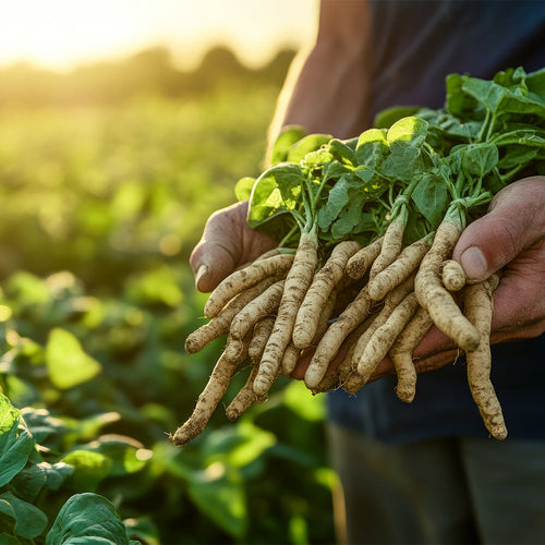 UK gid://shopify/MediaImage/67725256360323