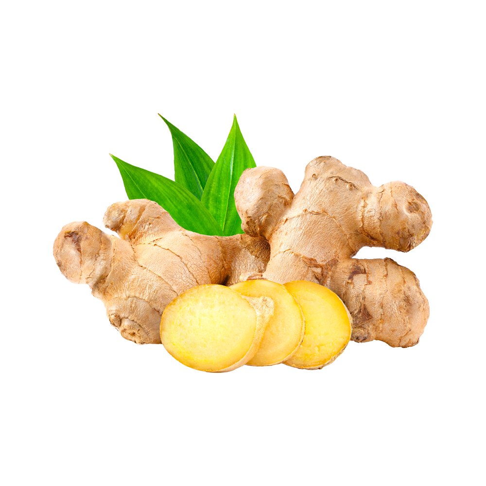 UK gid://shopify/MediaImage/67725281886595