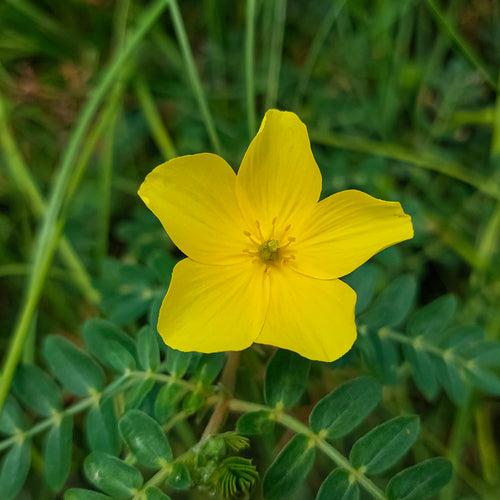 UK gid://shopify/MediaImage/67725196493187