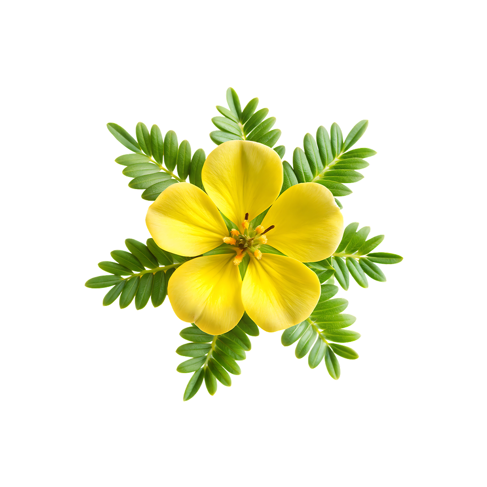 UK gid://shopify/MediaImage/67725193544067