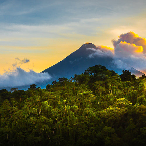 UK gid://shopify/MediaImage/67725407289731