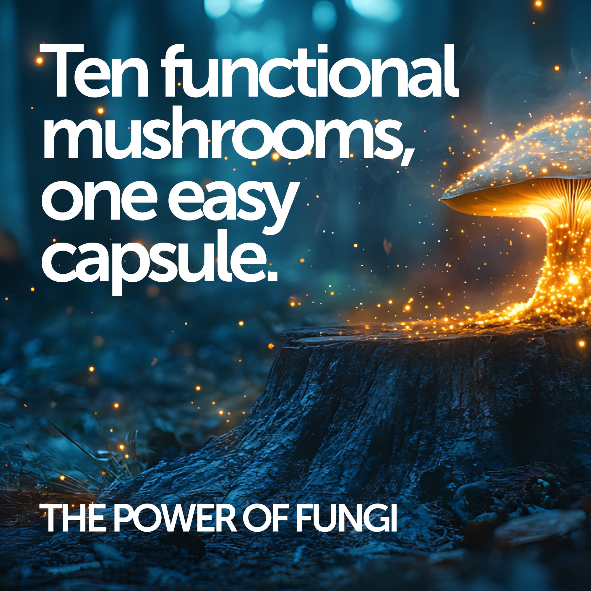 Immune + Recover - Revolution Foods (pioneers in plant nutrition)
