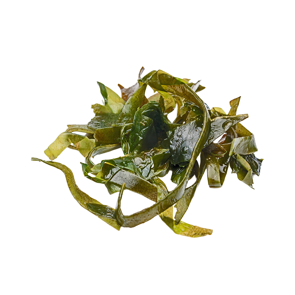 UK gid://shopify/MediaImage/67653749244291