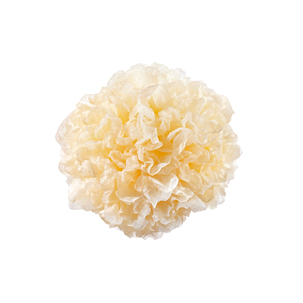 UK gid://shopify/MediaImage/67725828227459