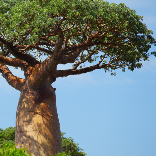 UK gid://shopify/MediaImage/64278029369731