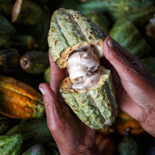 UK gid://shopify/MediaImage/64541089694083