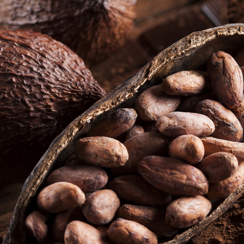 UK gid://shopify/MediaImage/64278297051523