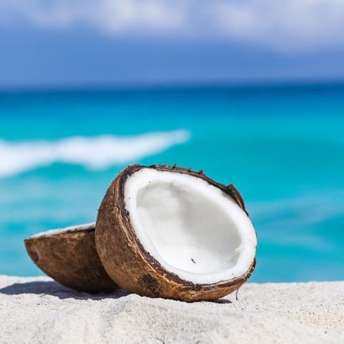 UK gid://shopify/MediaImage/64277950038403