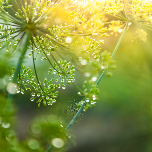 UK gid://shopify/MediaImage/64278162801027