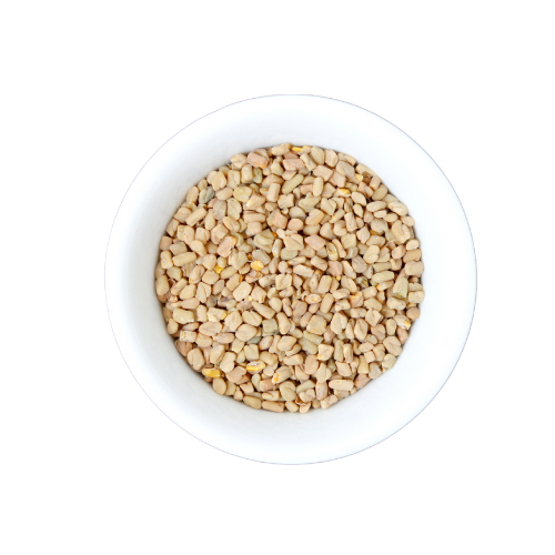 UK gid://shopify/MediaImage/64632867619203