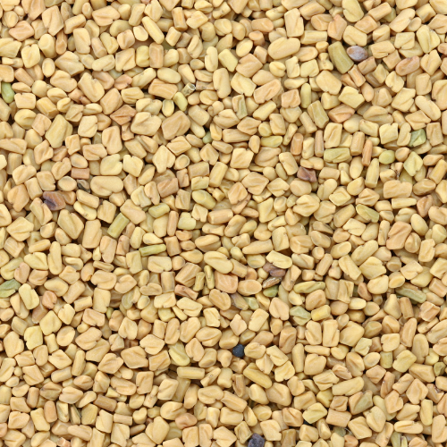 UK gid://shopify/MediaImage/64632869749123