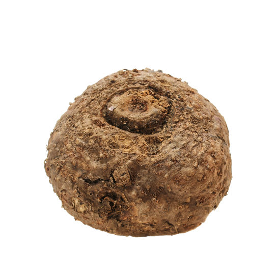 UK gid://shopify/MediaImage/64278058140035