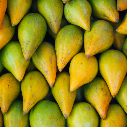 UK gid://shopify/MediaImage/64277975859587