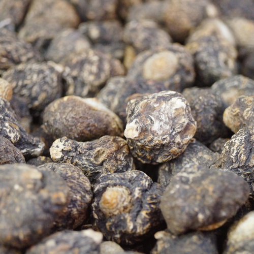 UK gid://shopify/MediaImage/64278003089795